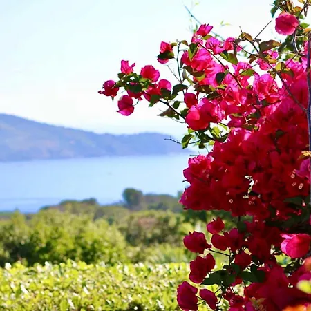 Tany * Capoliveri (Isola d'Elba)