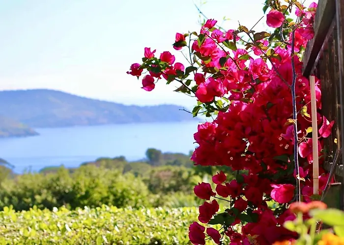 Tany * 카폴리베리